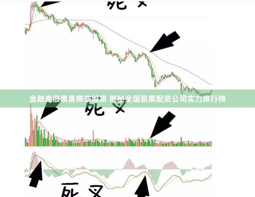 金融类股票是哪些股票 揭秘全国股票配资公司实力排行榜