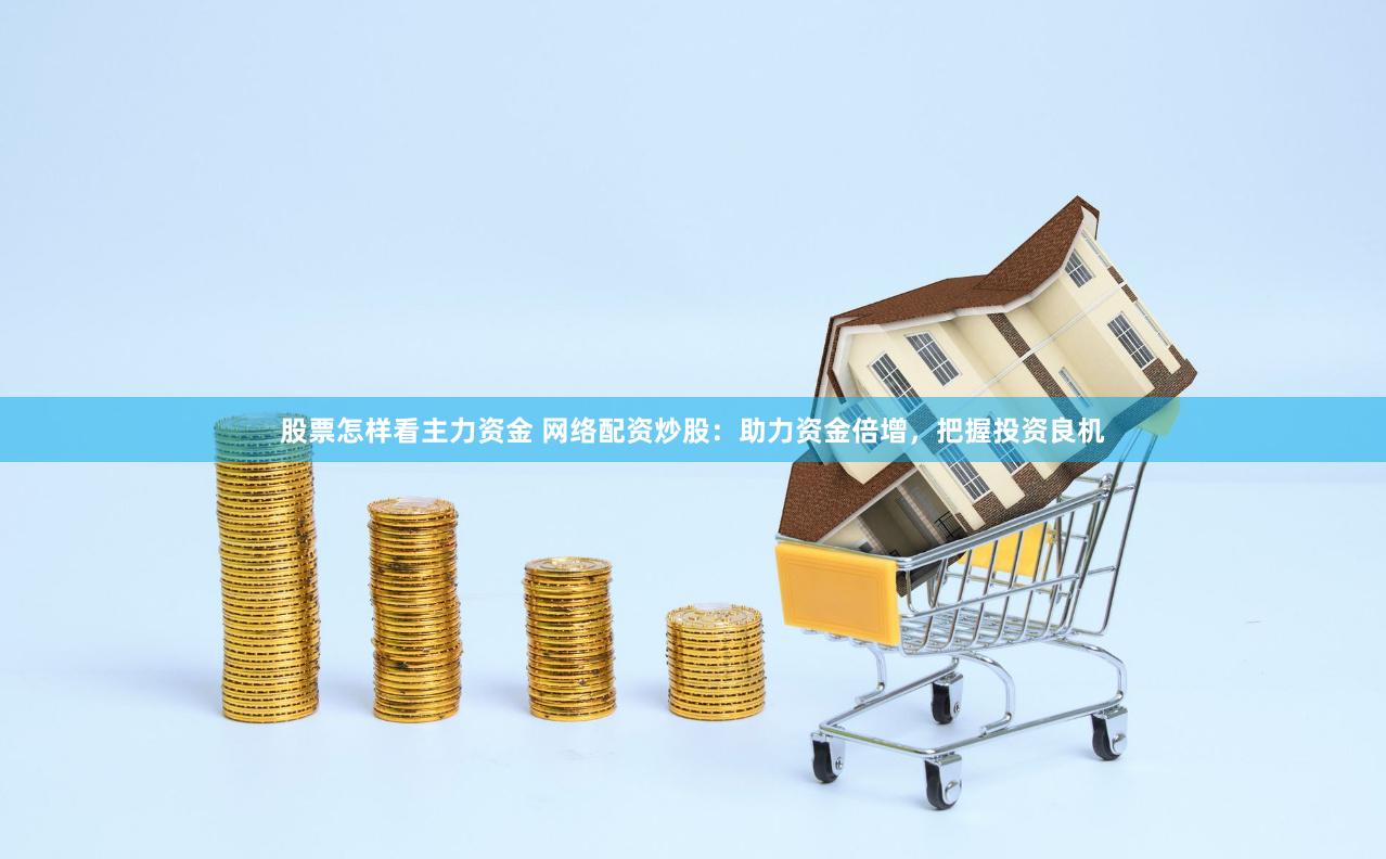 股票怎样看主力资金 网络配资炒股：助力资金倍增，把握投资良机