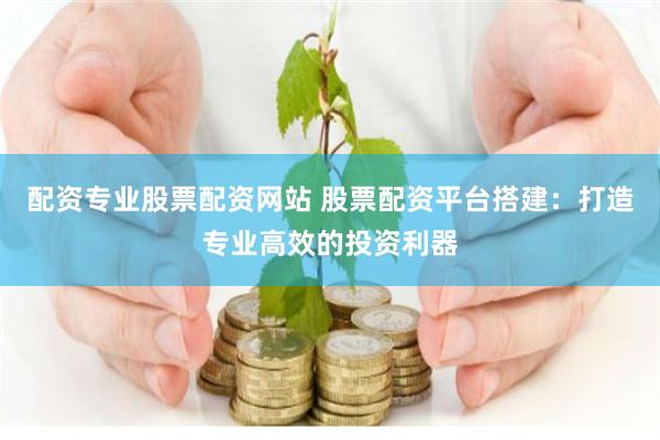 配资专业股票配资网站 股票配资平台搭建：打造专业高效的投资利器